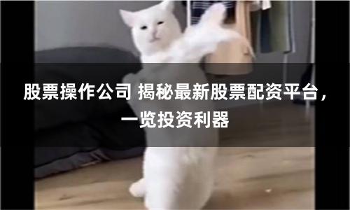 股票操作公司 揭秘最新股票配资平台，一览投资利器