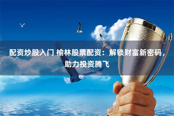 配资炒股入门 榆林股票配资：解锁财富新密码，助力投资腾飞